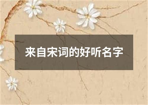 來自宋詞的好聽名字